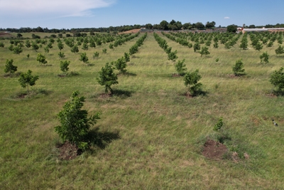 UV sterilizer installation